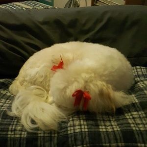 Meet your Posher, Jackie